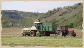 Mit dem H�cksler wird das Gras f�r unsere K�he geerntet.